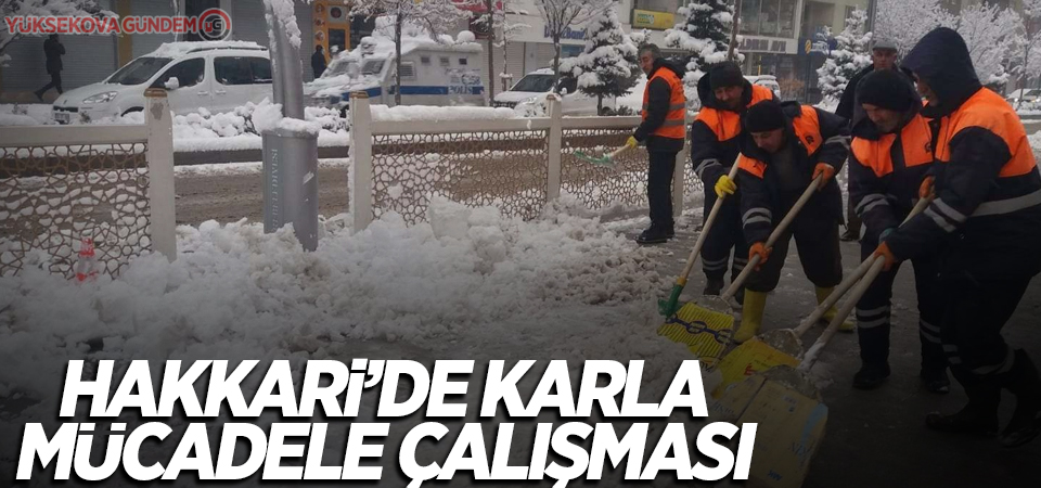 Hakkari’de karla mücadele çalışması