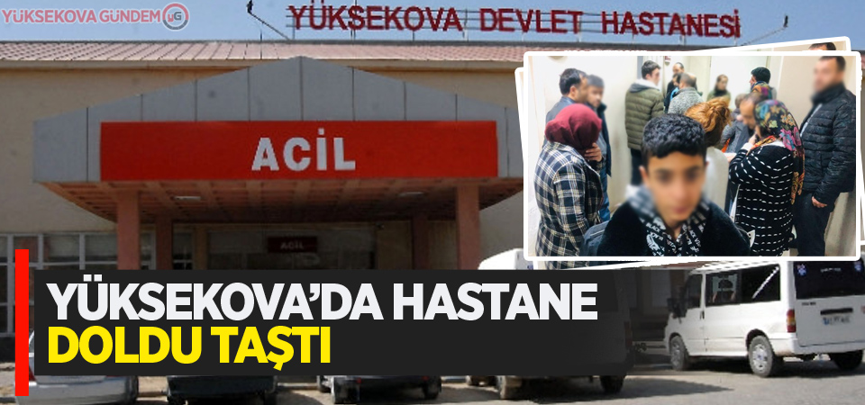 Yüksekova'da hastane doldu taştı!