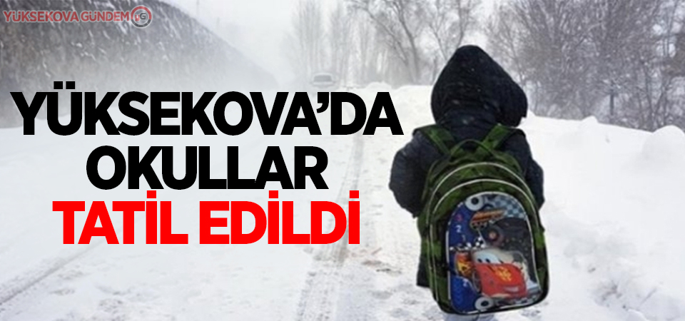 Yüksekova’da okullar tatil edildi