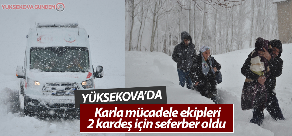 Yüksekova'da ekipler 2 kardeş için seferber oldu