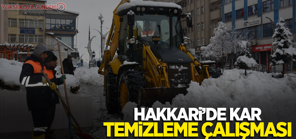 Hakkari'de kar temizleme çalışması