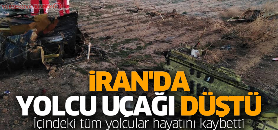 İran'da yolcu uçağı düştü 170 ölü!