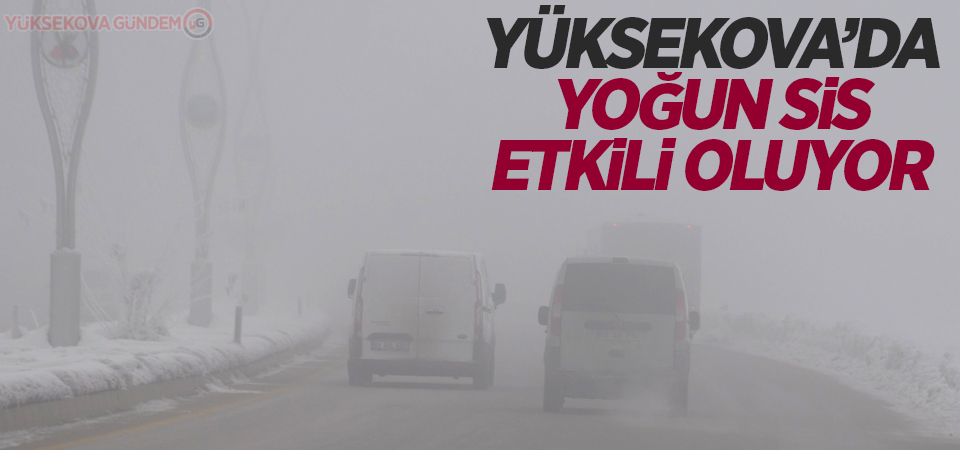 Yüksekova'da yoğun sis etkili oluyor