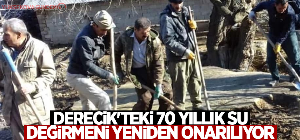 Derecik'teki 70 yıllık su değirmeni yeniden onarılıyor