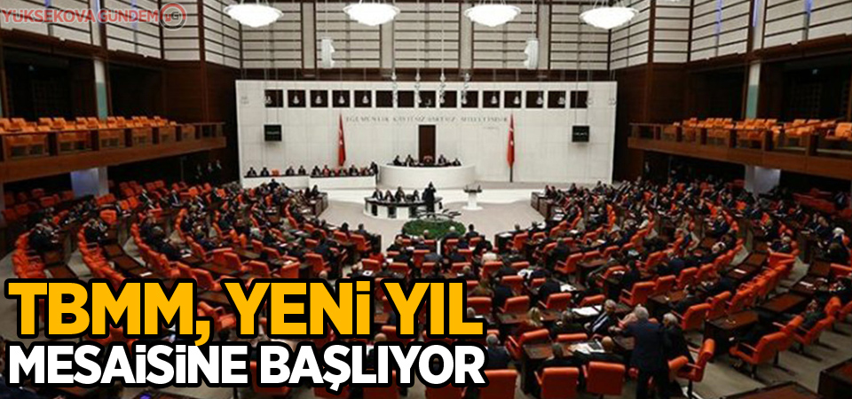 TBMM, yeni yıl mesaisine başlıyor