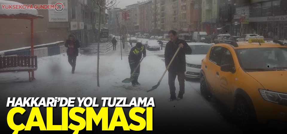 Hakkari’de yol tuzlama çalışması