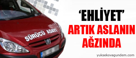Ehliyet artık aslanın ağzında