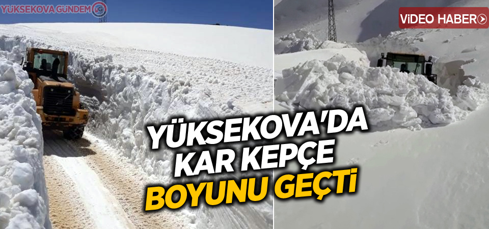 Yüksekova'da Kar Kepçe Boyunu Geçti