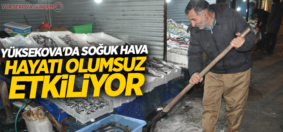 Yüksekova'da soğuk hava hayatı olumsuz etkiliyor