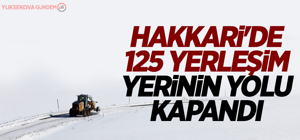 Hakkari'de 125 yerleşim yerinin yolu kapandı