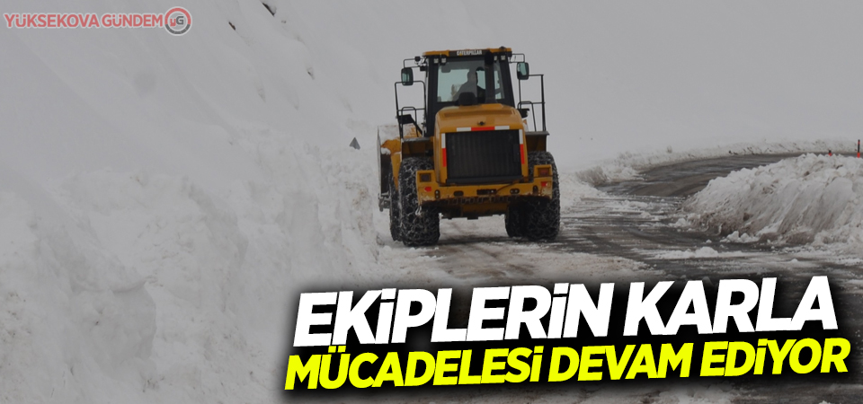 Ekiplerin karla mücadelesi sürüyor