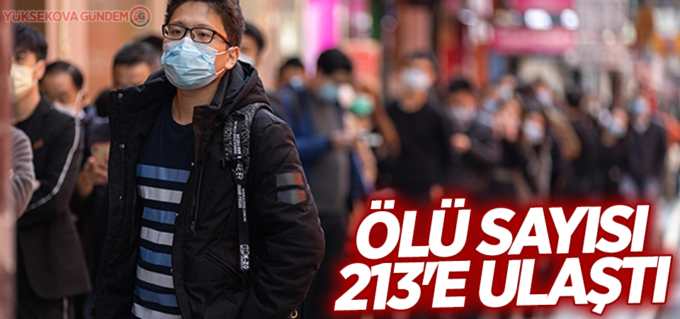 Ölü sayısı 213'e ulaştı