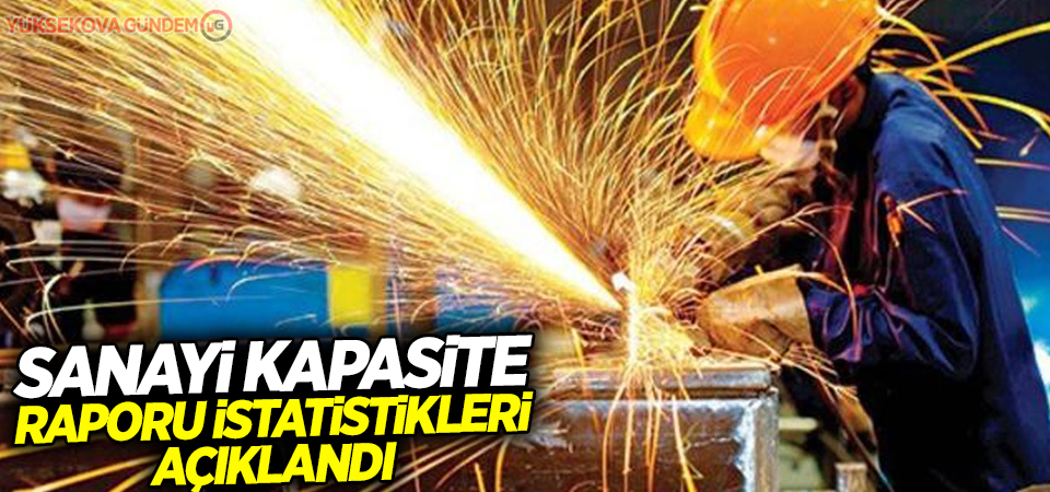 Sanayi kapasite raporu istatistikleri açıklandı