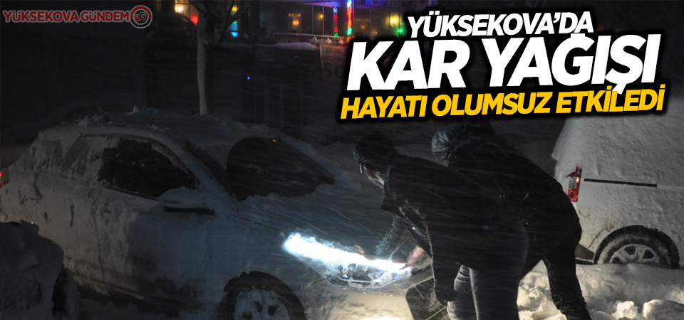 Yüksekova'ya kar yağışı ve tipi hayatı olumsuz etkiledi