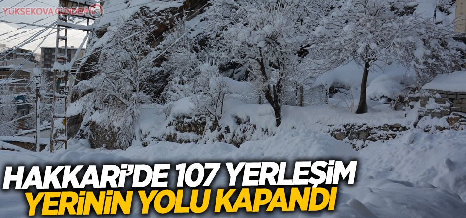 Hakkari’de 107 yerleşim yerinin yolu kapandı