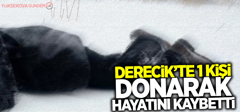 Derecik’te 1 kişi donarak hayatını kaybetti