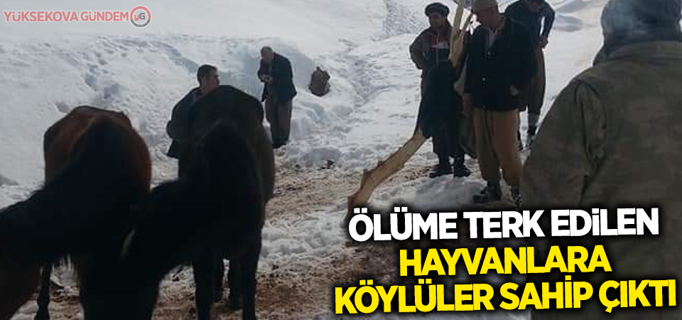 Ölüme terk edilen hayvanlara köylüler sahip çıktı