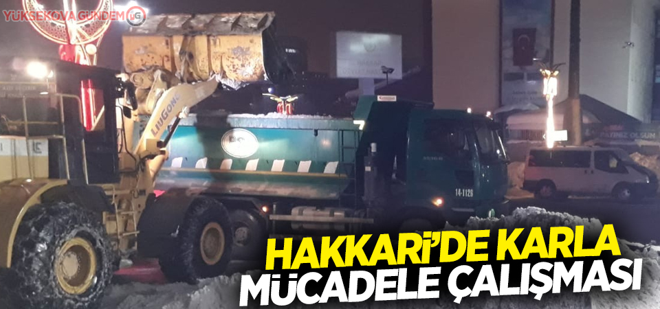 Hakkari’de karla mücadele çalışması