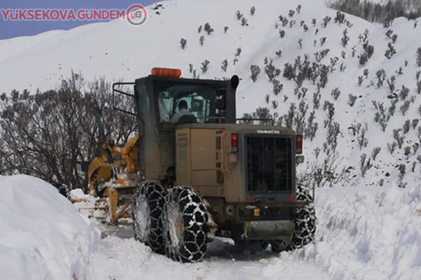 Bingöl'de kar 254 köy yolunu ulaşıma kapattı