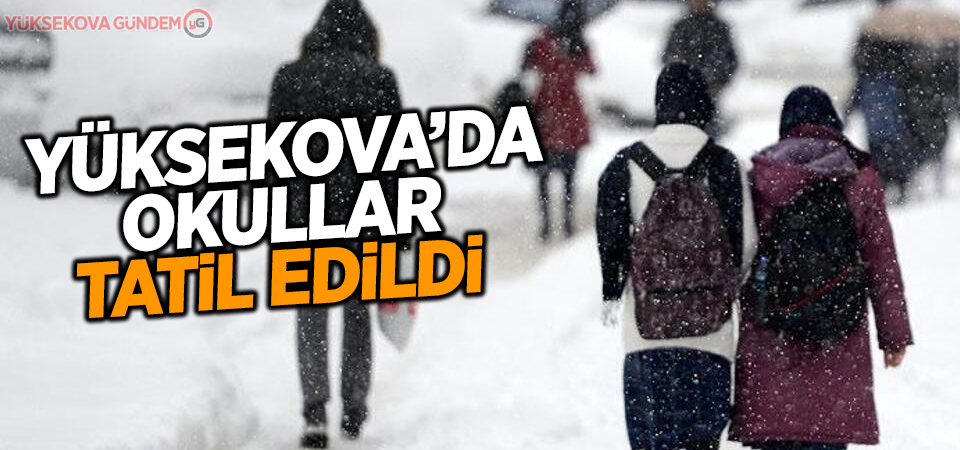 Yüksekova'da okullar tatil edildi