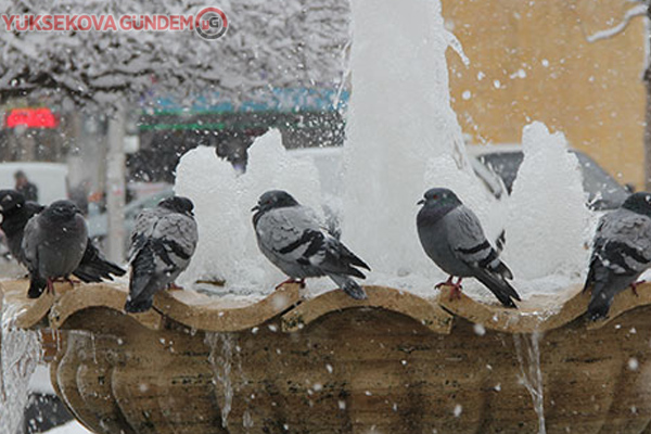 Doğu'da soğuk hava: Göle eksi 40