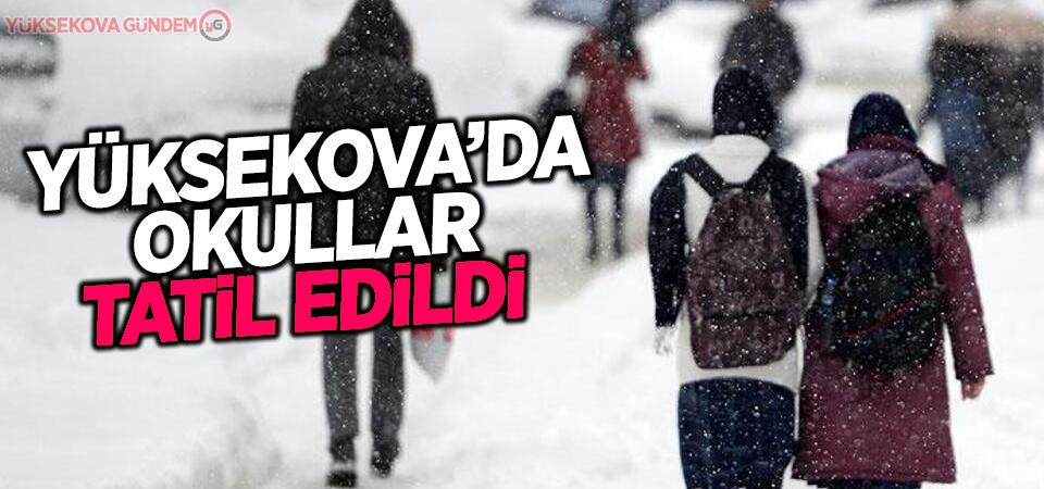 Yüksekova'da okullar tatil edildi