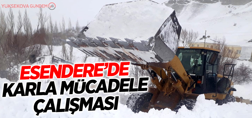 Esendere'de karla mücadele çalışması