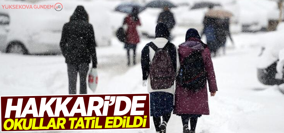 Hakkari'de okullar tatil edildi