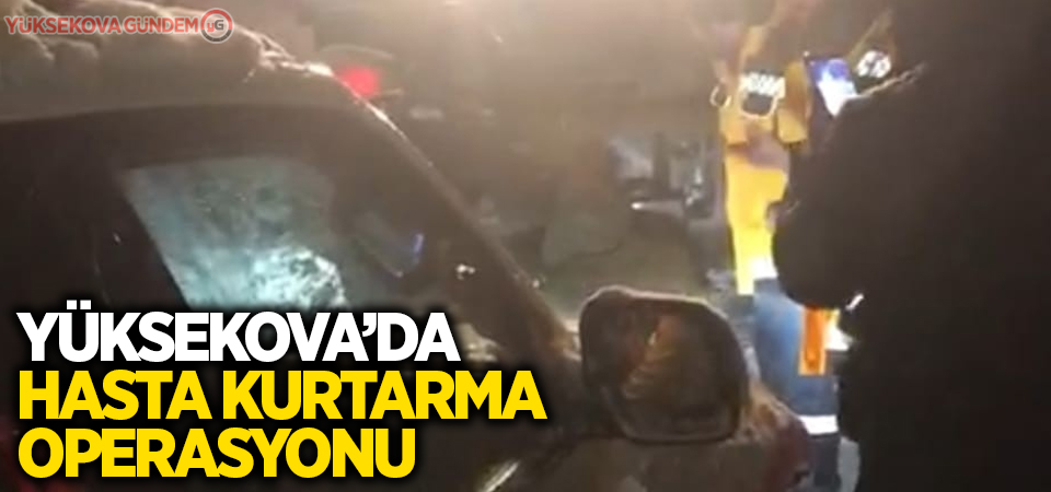 5 kilometre yürüyerek hastayı ambulansa yetiştirdiler