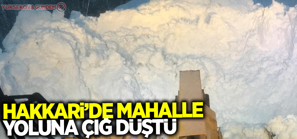 Hakkari’de mahalle yoluna çığ düştü