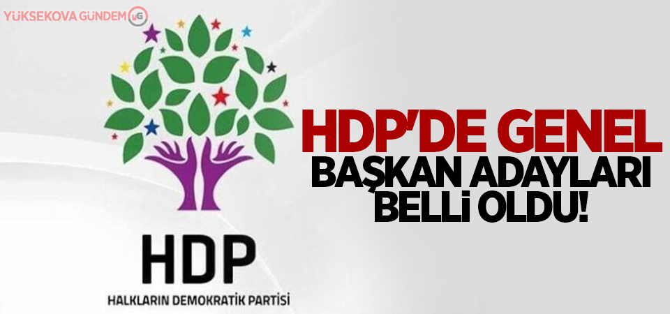 HDP'de Genel Başkan Adayları belli oldu!