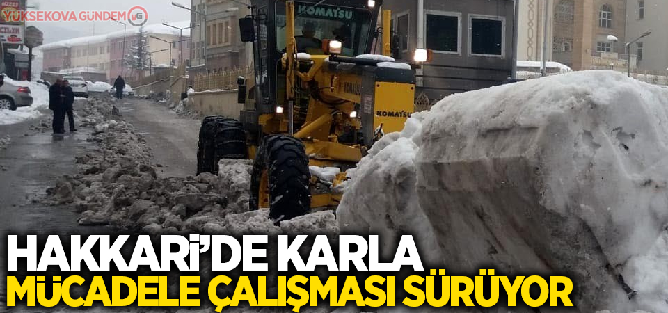 Hakkari’de karla mücadele çalışması sürüyor