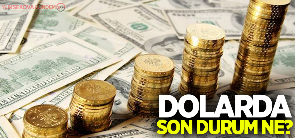 Dolar da altın da yükselmeye devam ediyor