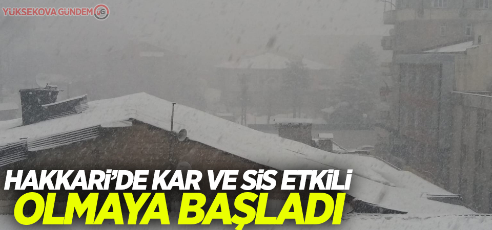 Hakkari’de kar ve sis etkili olmaya başladı