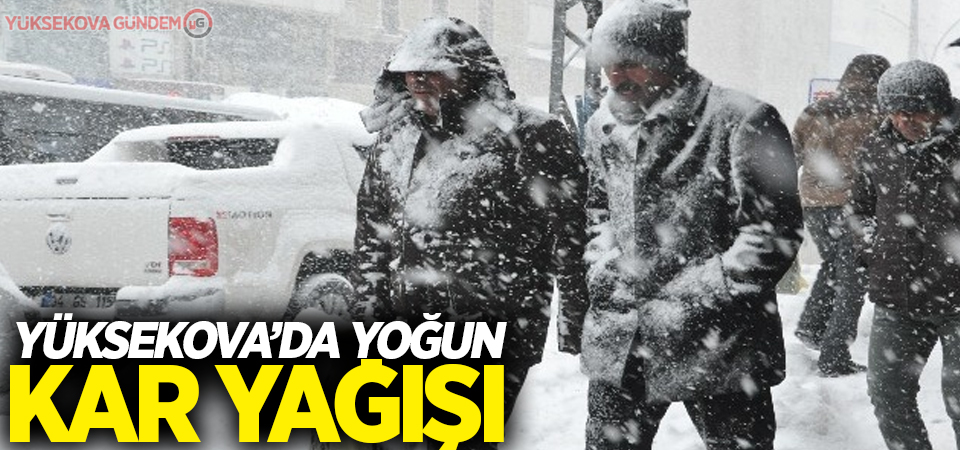 Yüksekova'da Yoğun Kar Yağışı