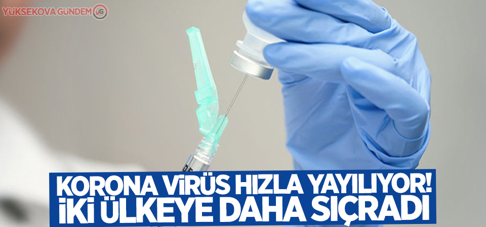 Korona virüs hızla yayılıyor! İki ülkeye daha sıçradı