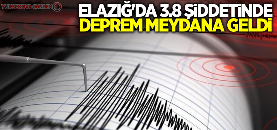 Elazığ'da 3.8 büyüklüğünde deprem oldu