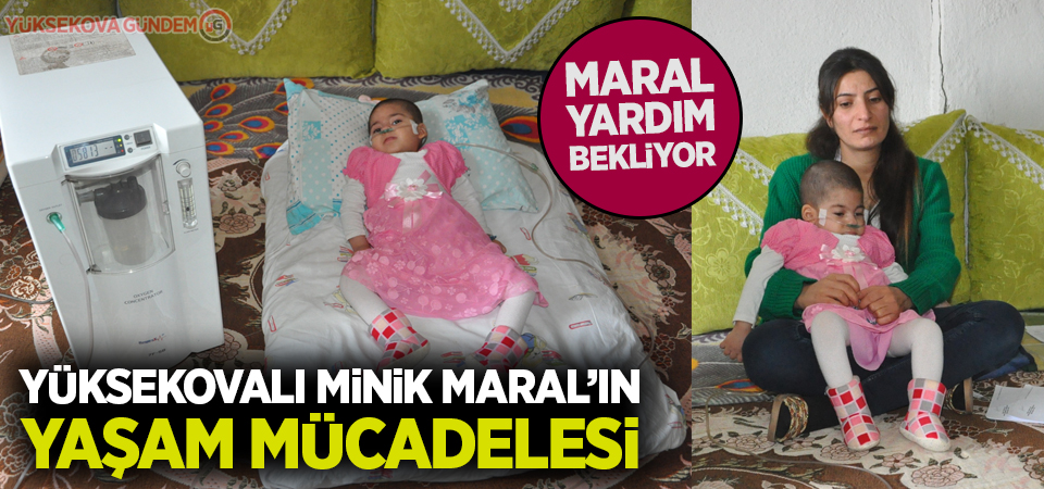 Yüksekovalı minik Maral’ın yaşam mücadelesi