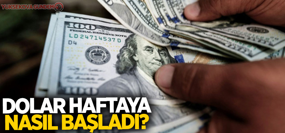 Dolar haftayı yükselişle açtı