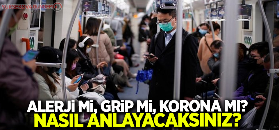 Alerji mi, grip mi, korona mı: Nasıl anlayacaksınız?