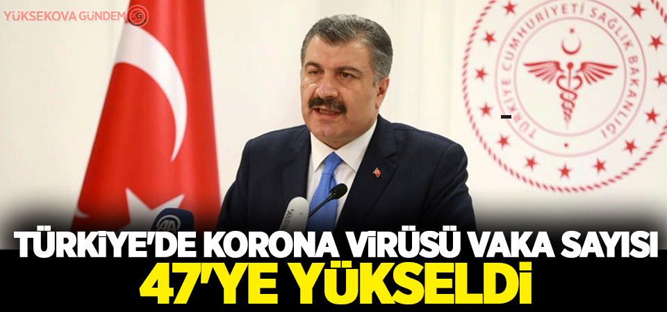 Türkiye'de korona virüsü vaka sayısı 47'ye yükseldi