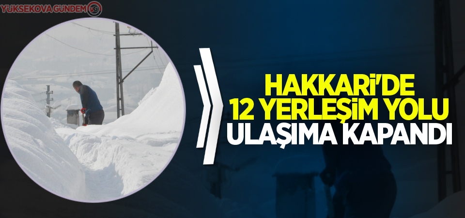 Hakkari'de 12 yerleşim yolu ulaşıma kapandı