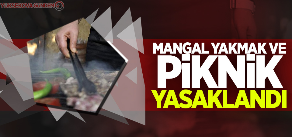 Mangal yakmak ve piknik yasaklandı