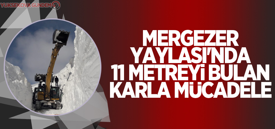 Mergezer Yaylası'nda 11 metreyi bulan karla mücadele