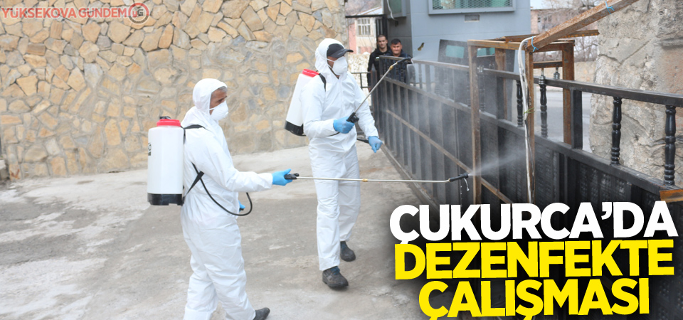 Çukurca’da dezenfekte çalışması