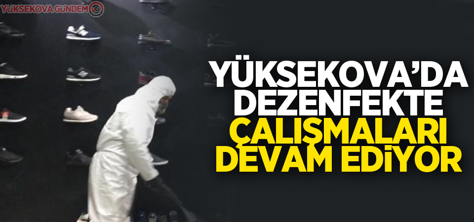 Yüksekova’da dezenfekte çalışmaları devam ediyor