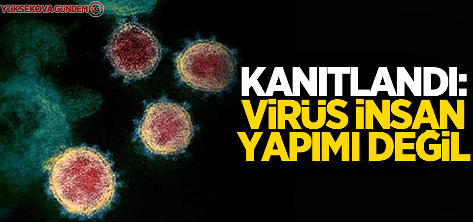 Kanıtlandı: Virüs insan yapımı değil