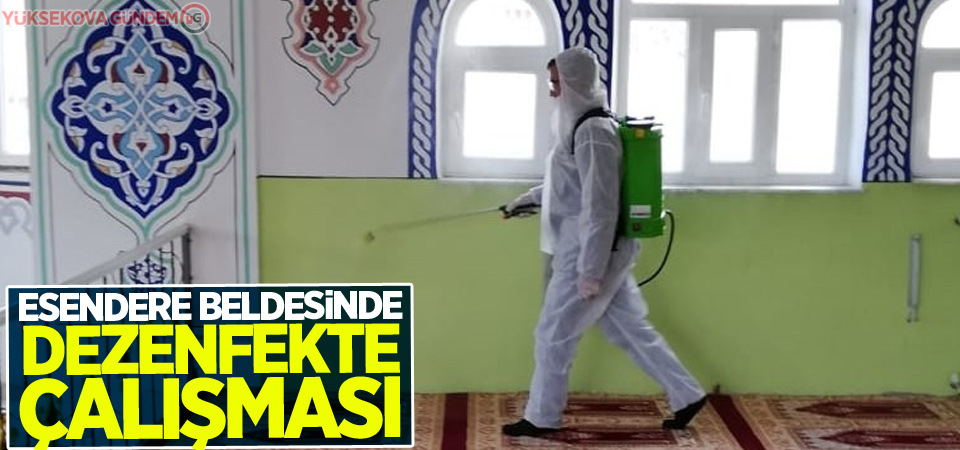 Esendere beldesinde dezenfekte çalışması