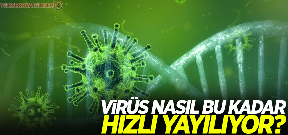 Virüs nasıl bu kadar hızlı yayılıyor?