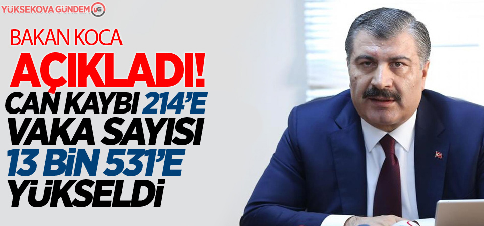 Can kaybı 214'e; vaka sayısı 13 bin 531'e yükseldi